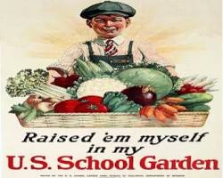 Program Makan Bergizi Gratis